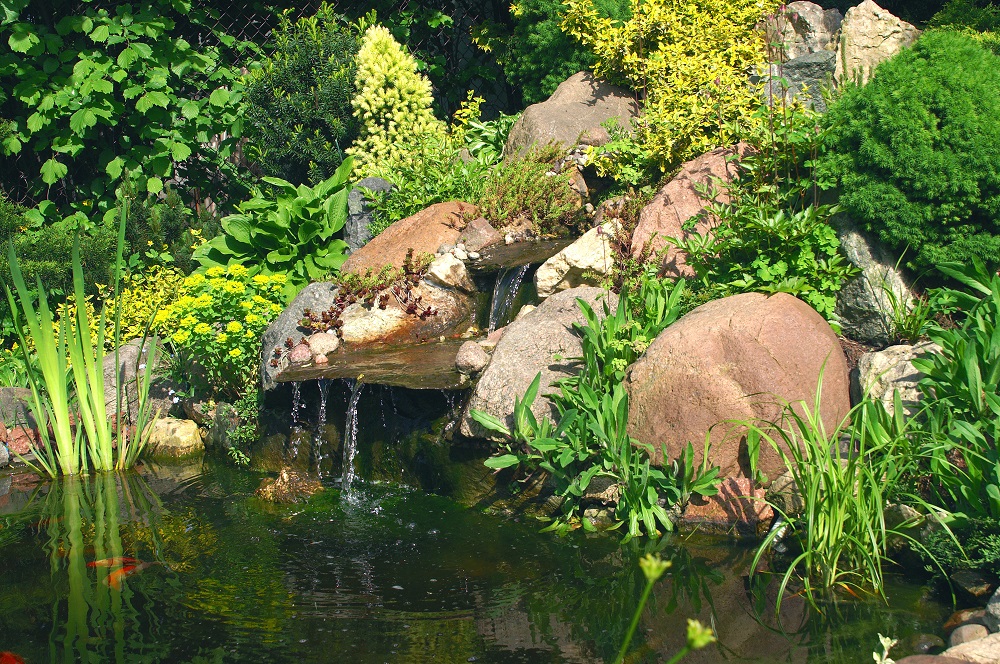 Kopanie stawów Bydgoszcz